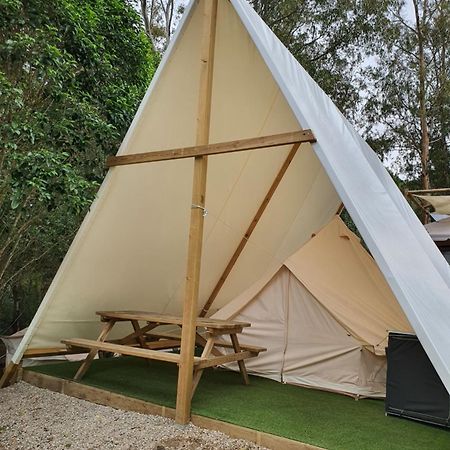 Bungalows Y Glamping Medina Sidonia エクステリア 写真