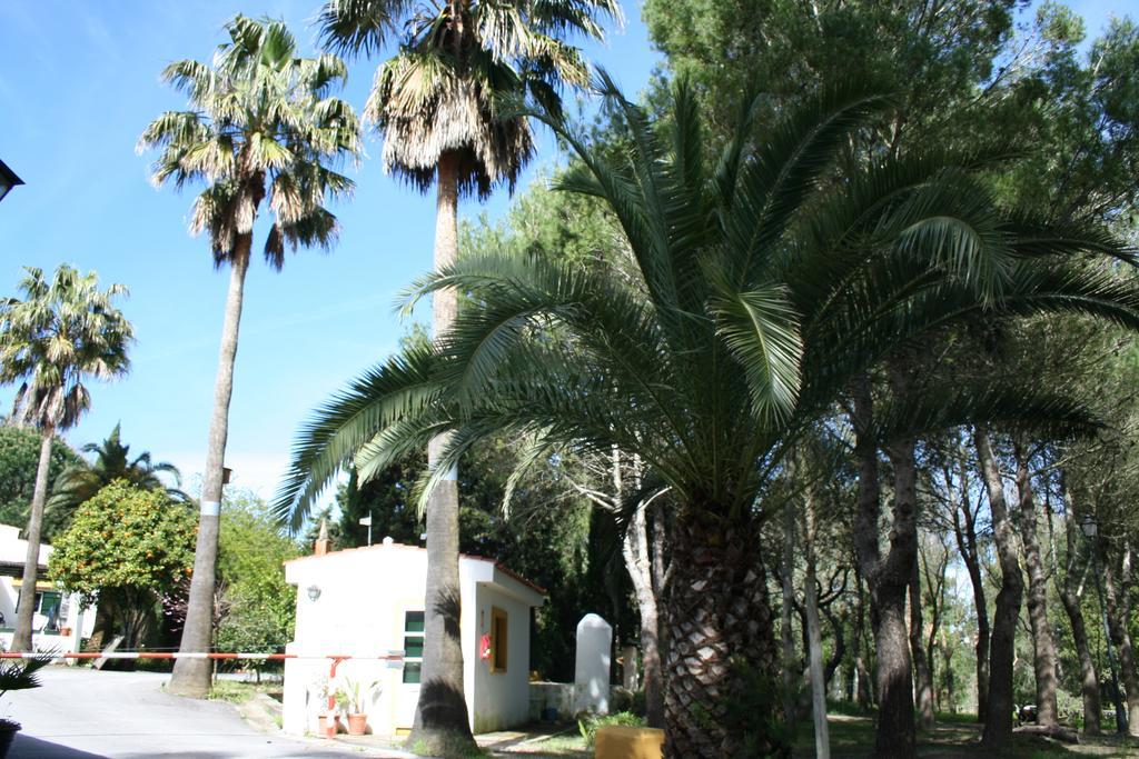 Bungalows Y Glamping Medina Sidonia エクステリア 写真