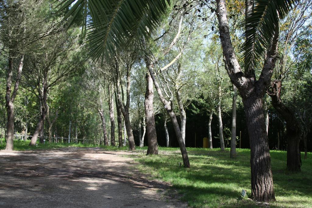 Bungalows Y Glamping Medina Sidonia エクステリア 写真
